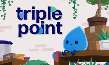 Triple Point Image