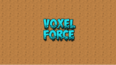 Voxel Force Image