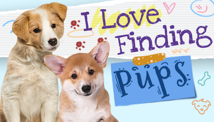 I Love Finding Pups Game Cover