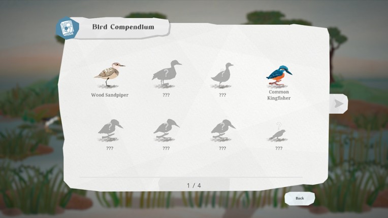 Junior Birder Adventure Image