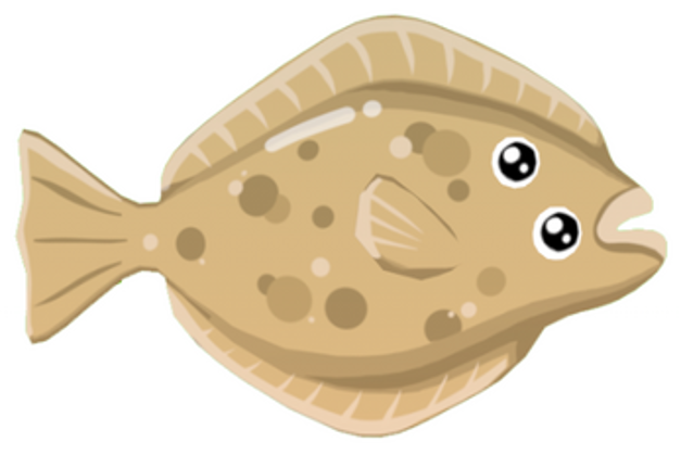 Small Pond Big Fish Image