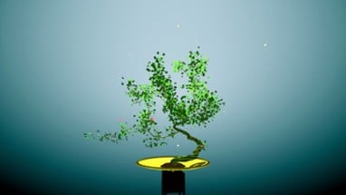 Tree Bonsai Image