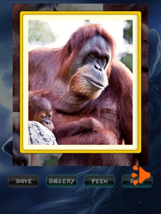 Animals Jigsaw Puzzle screenshot