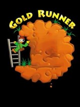 Gold Runner Image