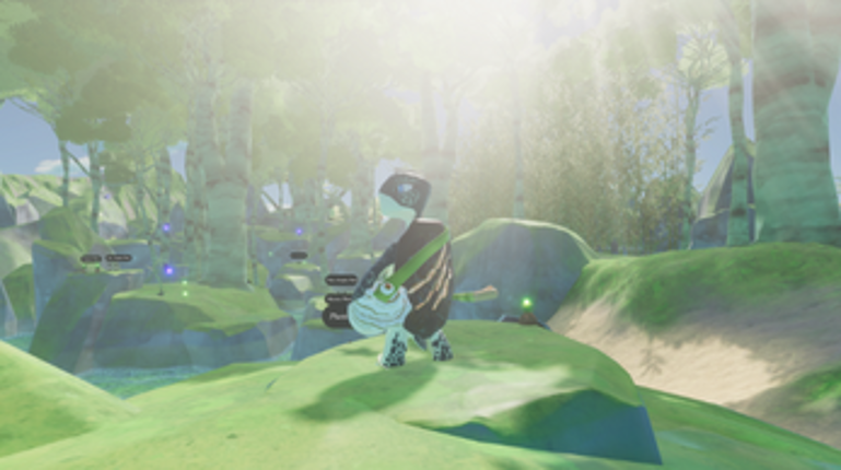 Shelter - Turtle Game Image