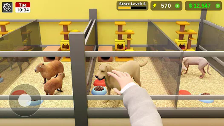Pet Shop Manager Simulation screenshot