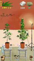 Weed Firm: RePlanted Image