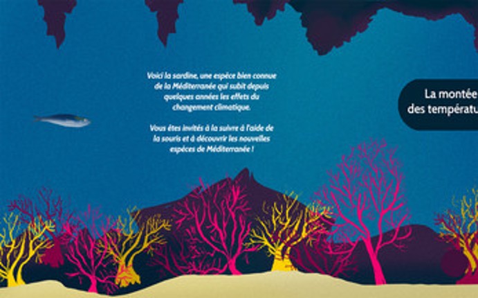L'arrivée de nouvelles espèces en Méditerranée screenshot