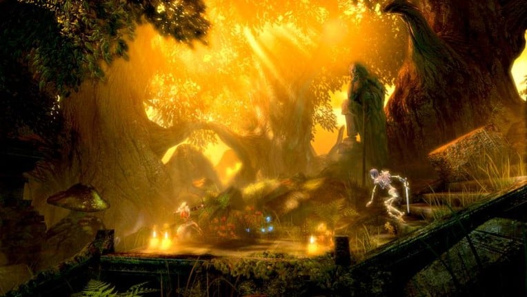 Trine Image