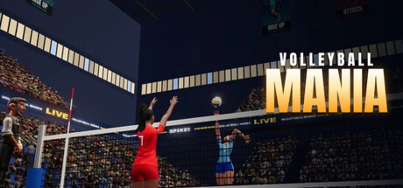 Volleyball Mania Image