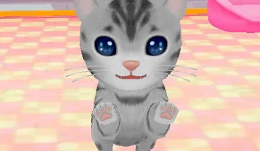 Wan Nyan Pet Shop Image