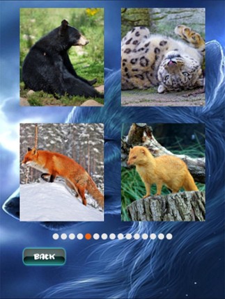 Animals Jigsaw Puzzle screenshot