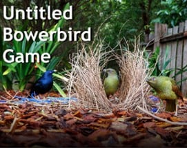 Untitled Bowerbird Game Image