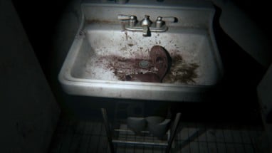 P.T. Image