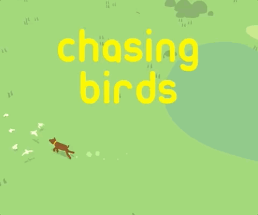 chasing birds Game Cover