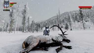 WolfQuest Image