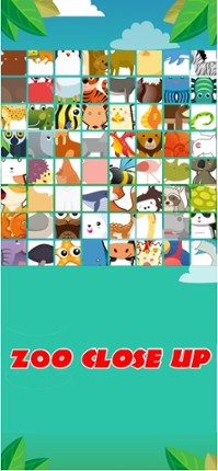 Zoo Close Up - Word Puzzle screenshot