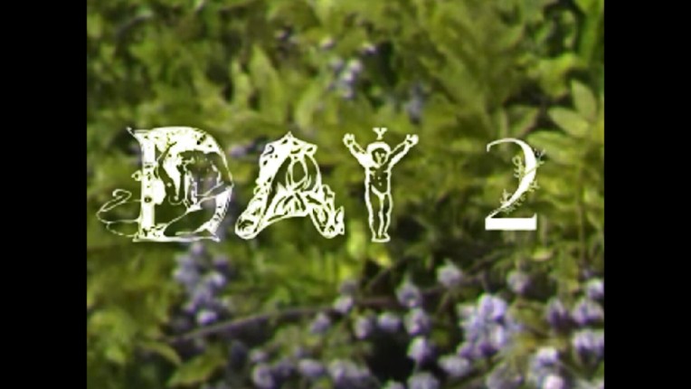 BIRDHOUSE screenshot