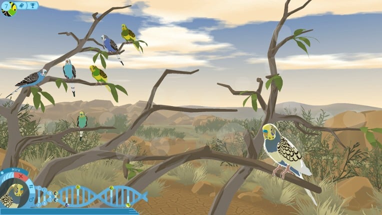 Budgie Genetics Simulator screenshot