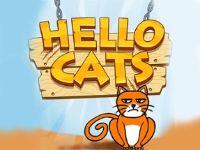 HELLO CAT Image