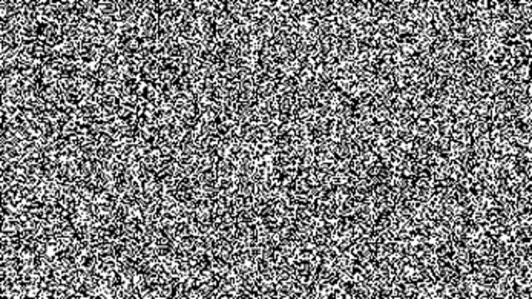 MOTUS Image