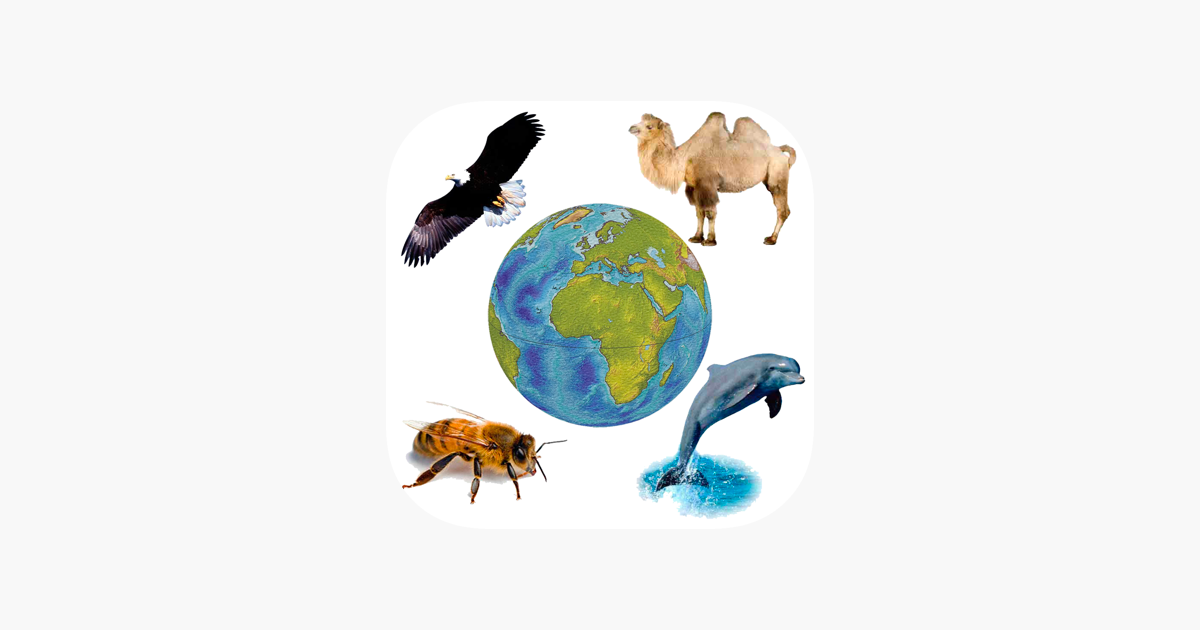 Games like Sounds of Fauna. Animal voices