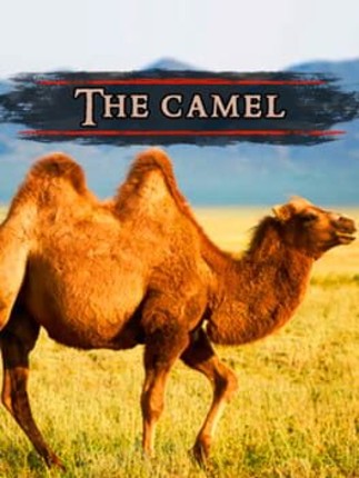 The Camel Image