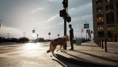 WOLF IN THE CITY Image