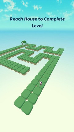 Zigzag Maze Runner Image