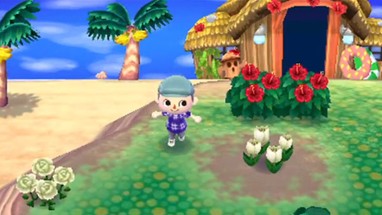 Animal Crossing: New Leaf Image