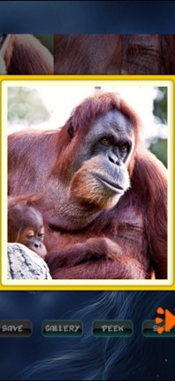 Animals Jigsaw Puzzle screenshot