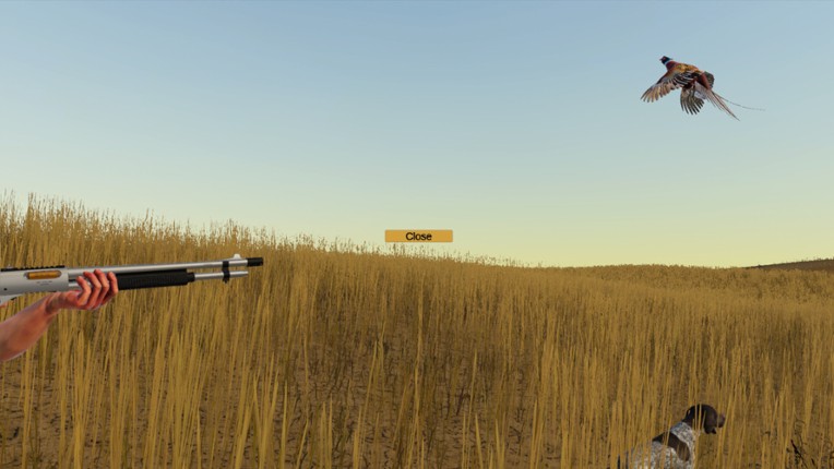 Birdshot Image