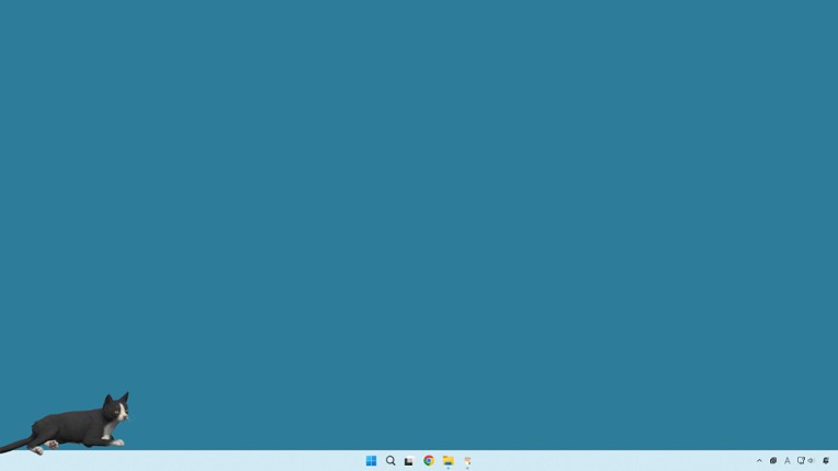 desktop my cat screenshot