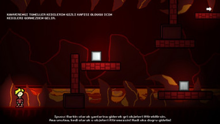 The Cat Empire Image