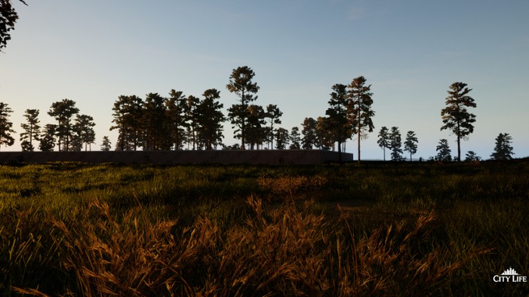 The City Life screenshot