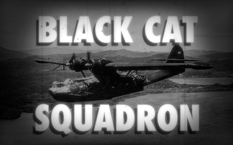 Games like Black Cat Squadron (directors cut)