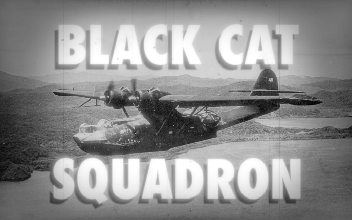 Black Cat Squadron (directors cut) Image