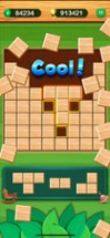 Block Puzzle Wood Origin Image