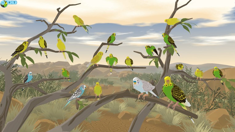 Budgie Genetics Simulator screenshot