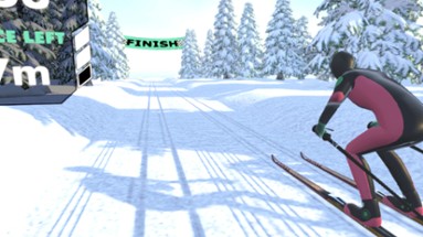 Cross Country Skiing VR Image