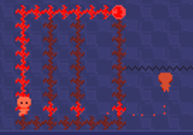 Echo Circuit Image