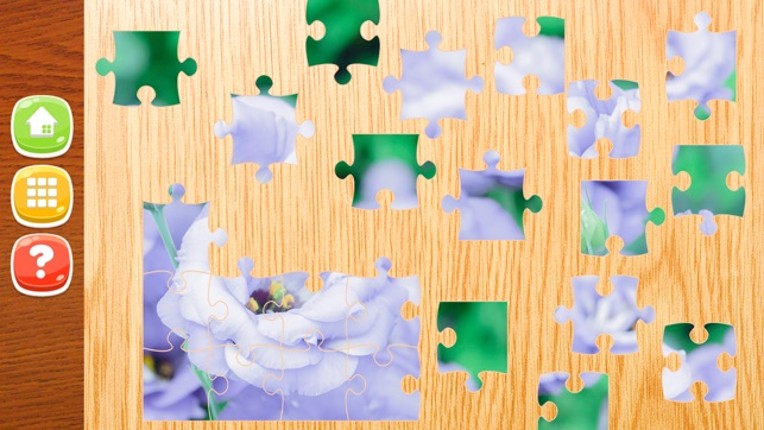 Flower Jigsaw Puzzle HD - New Jigsaw Games for Kids and Adults Image