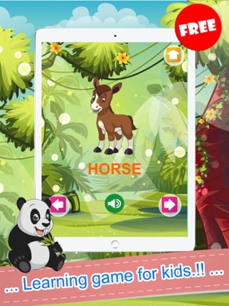 Funny Animals Pictures Drag And Drop Puzzles Games Image