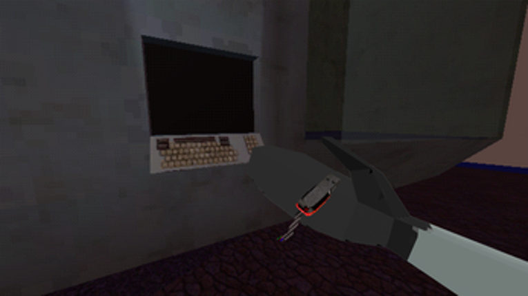A Flower Field screenshot