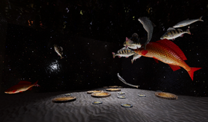 Aquariox MK.X.2K Image