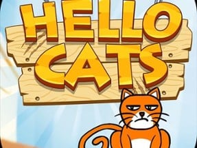 Hello Cats Image