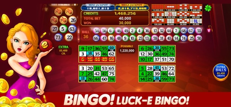 Luck'e Bingo : Video Bingo screenshot