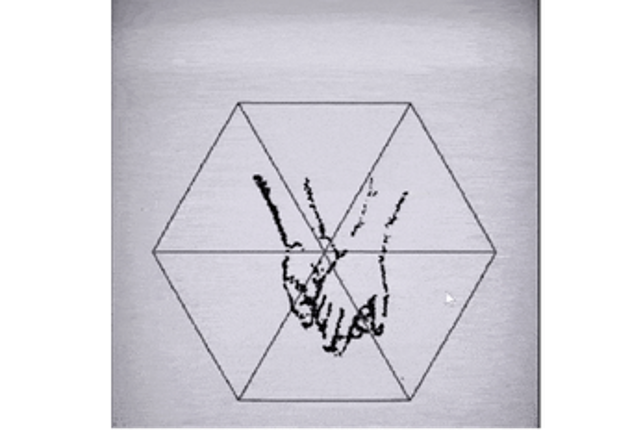 Project Lighthouse Image