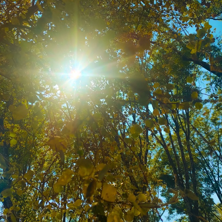 Games like Then, Now at the same time