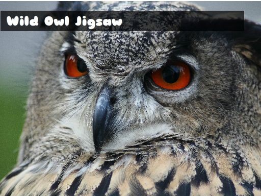Games like Wild owl Jigsaw